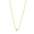 14K Yellow Gold Mini Diamond P Initial Pendant Necklace