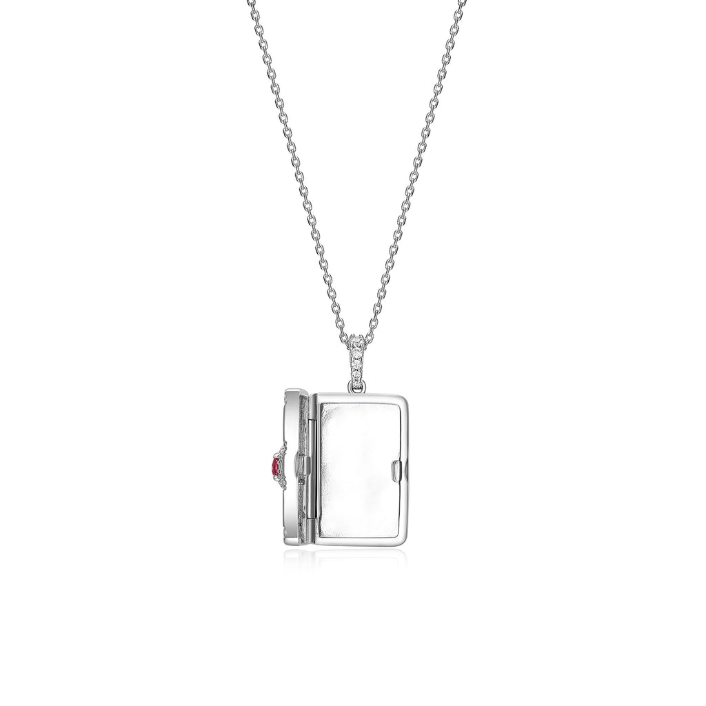 Rhodium Plated Modern Ray Locket SN013