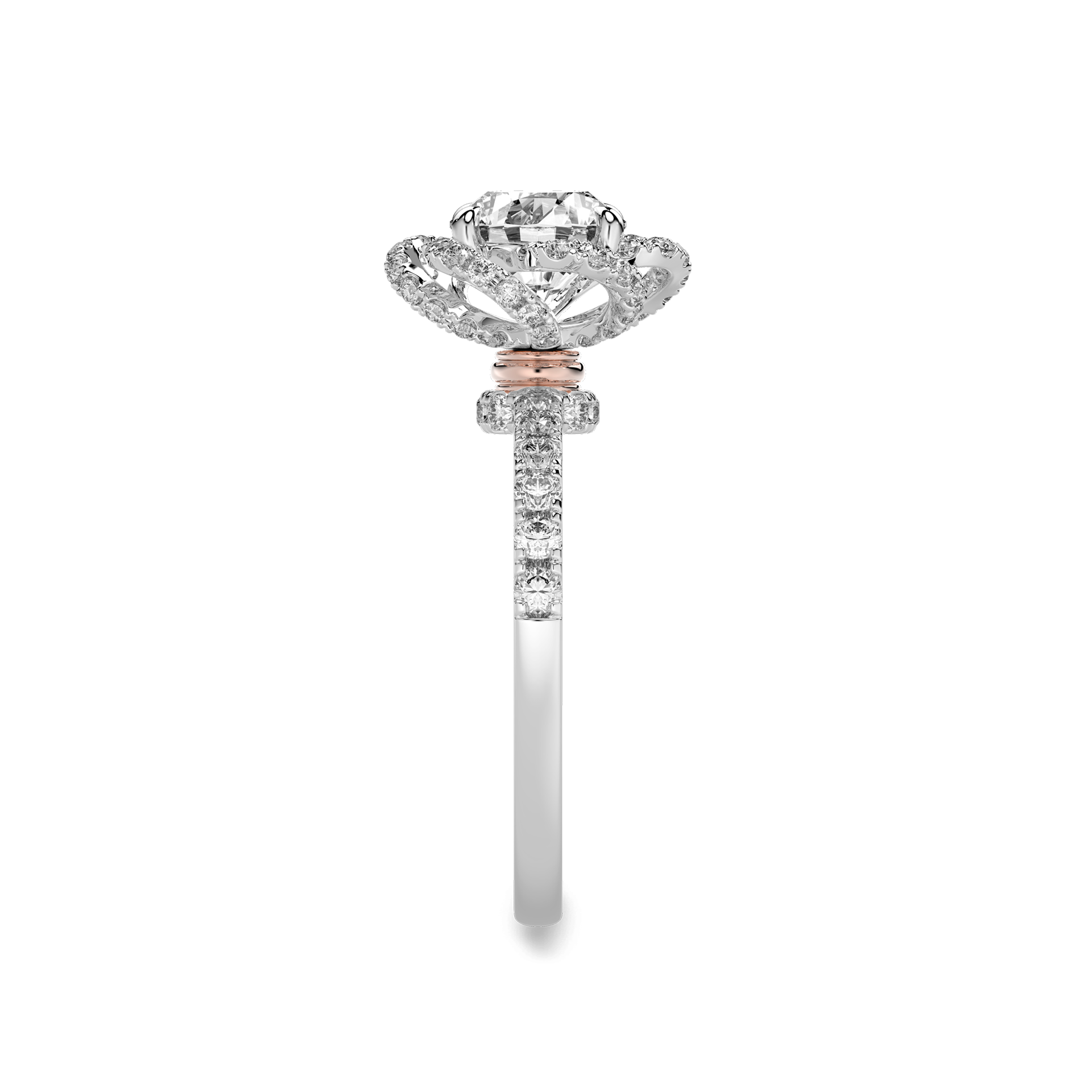 Eternal Rose Ring