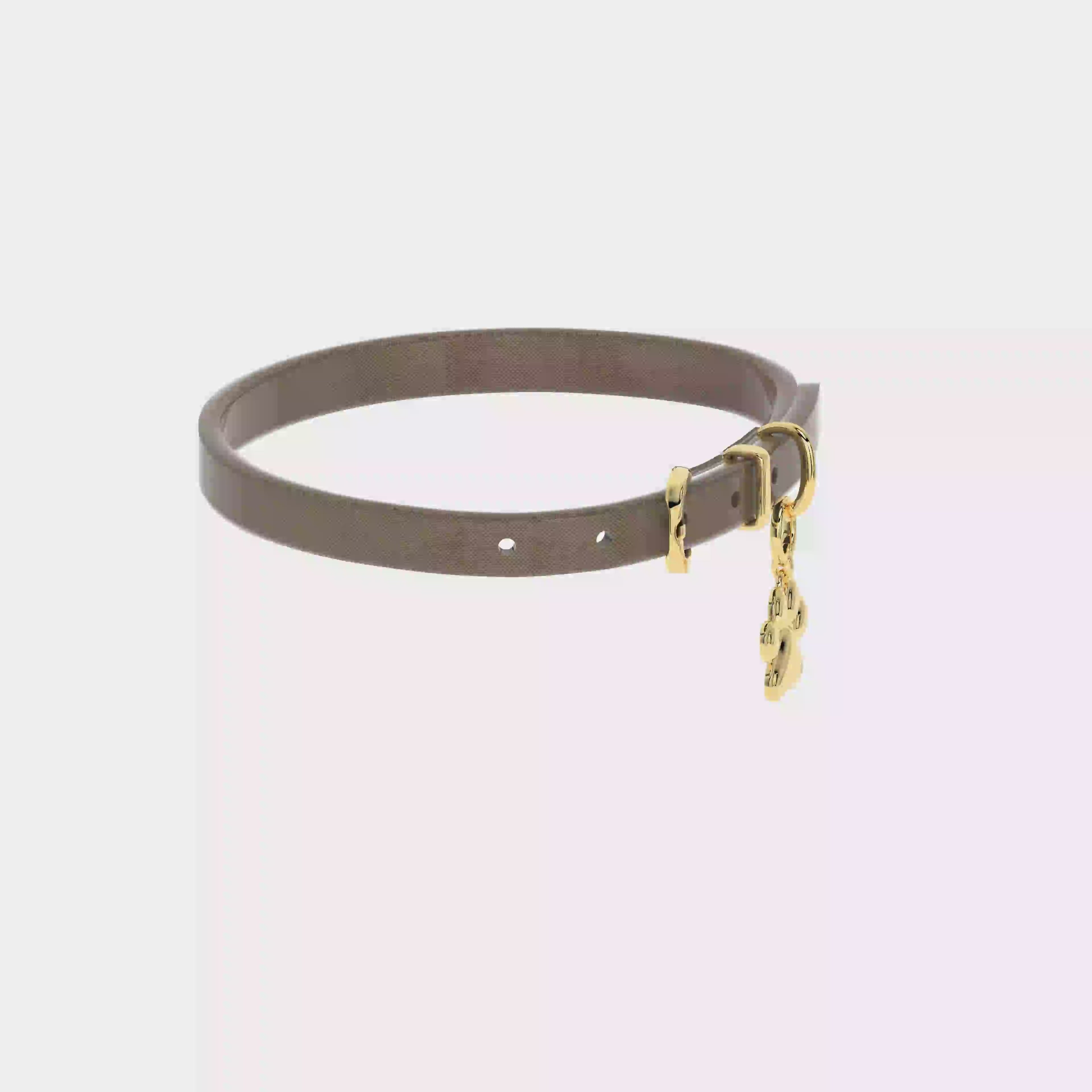 Pet Charms