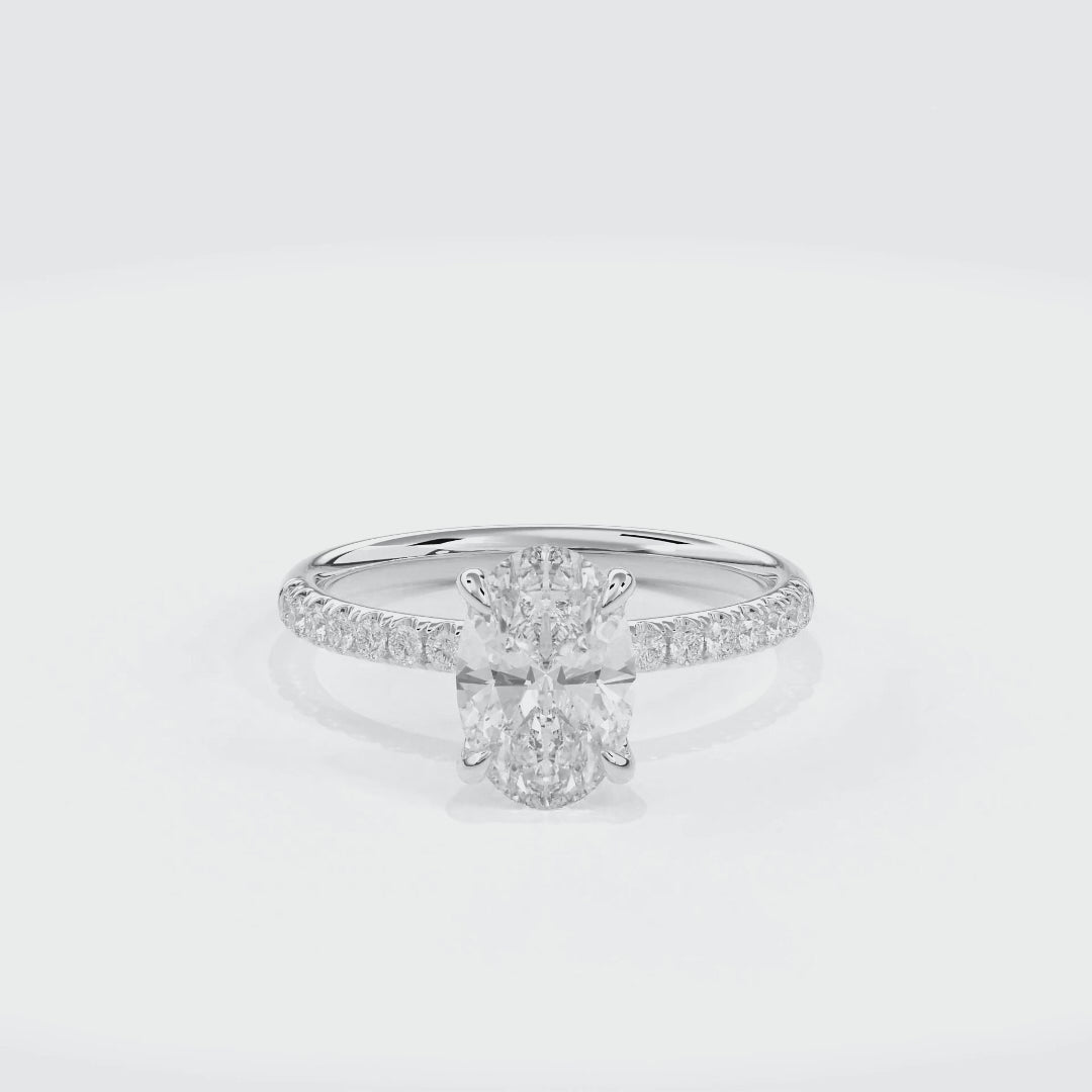 Dia Solitaire Pave Engagement Ring Oval•White Gold