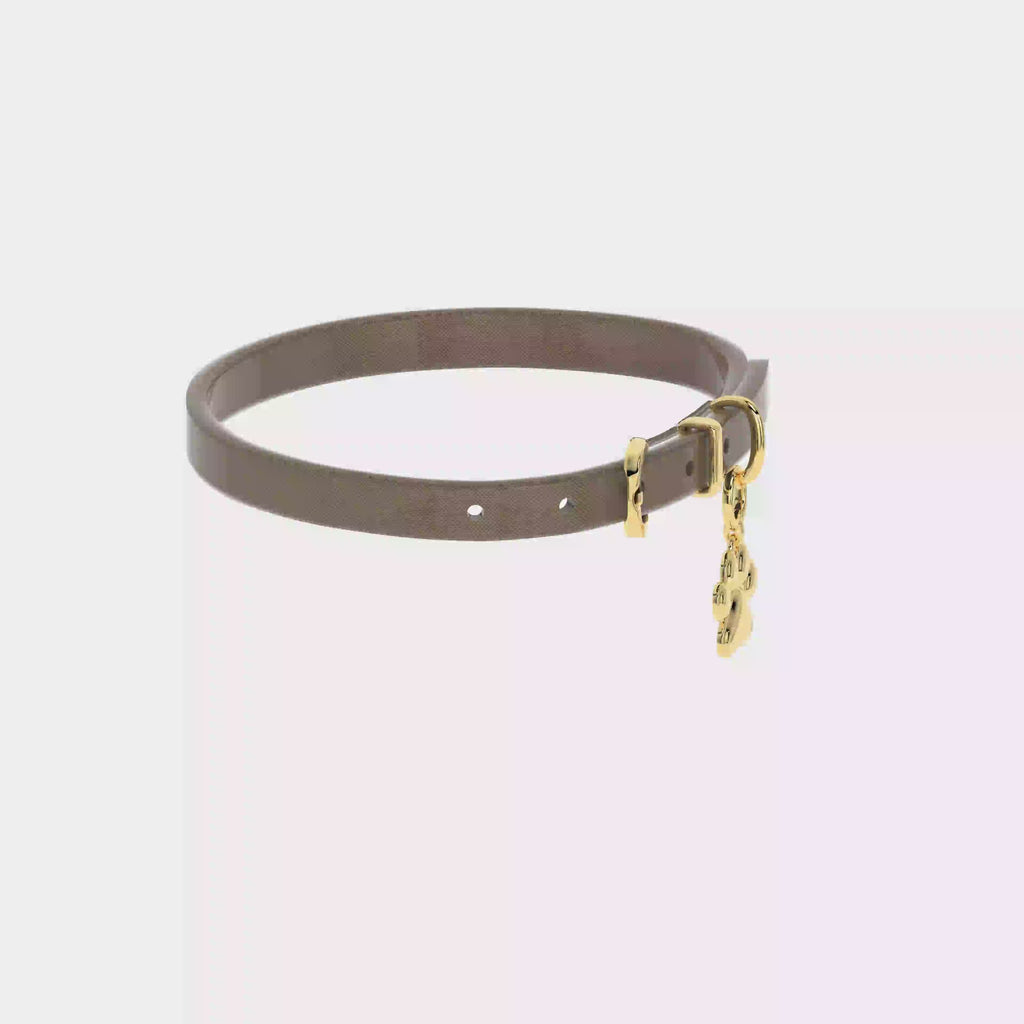Pet Charms